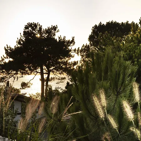 Du * Pyla-sur-Mer